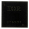 IP1001TR Image - 1