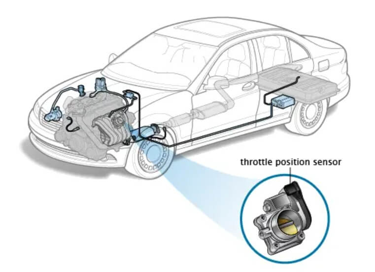 Throttle Position Sensor (TPS)