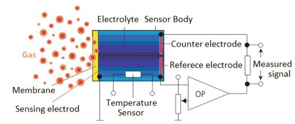 Schematic Electrochemical Sensor Parts