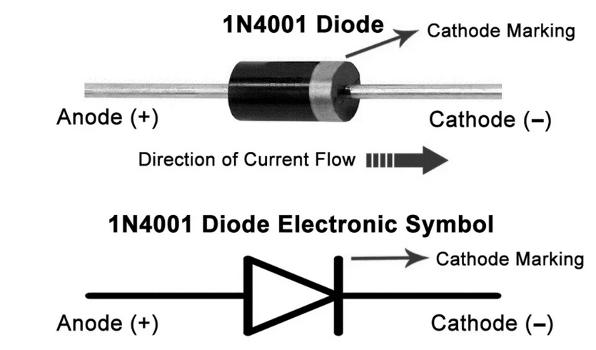 1N4001 Pinout